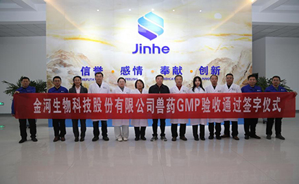 金河生物六期工程項目成功通過GMP驗收