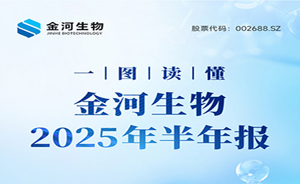一圖讀懂：金河生物2025年半年度報告